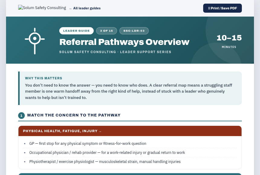Preview of the Referral Pathways Overview digital form