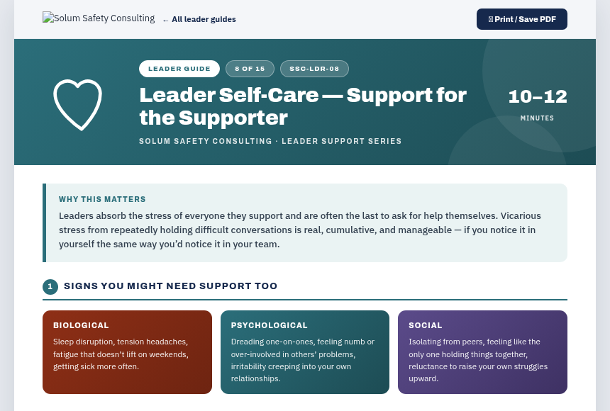 Preview of the Leader Self-Care digital form