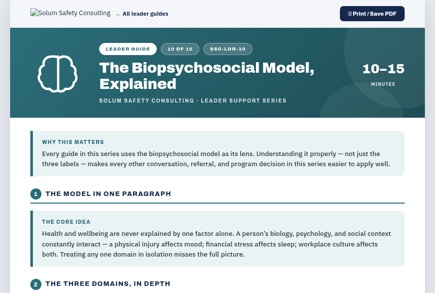 Preview of the Biopsychosocial Model Explainer digital form