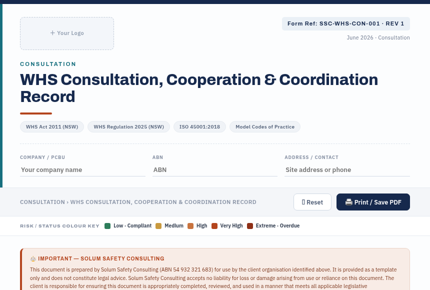 Preview of the WHS Consultation Record digital form