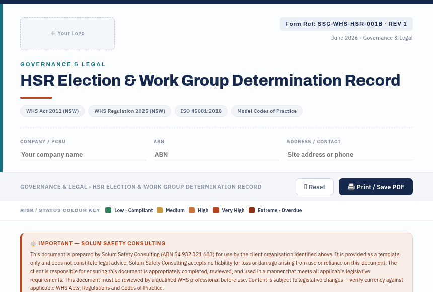 Preview of the HSR Election Work Group Record digital form